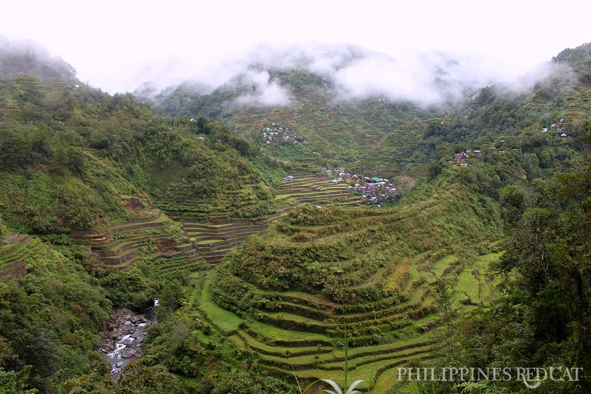 Cambulo-Rice-Terraces-1200.jpg.jpg