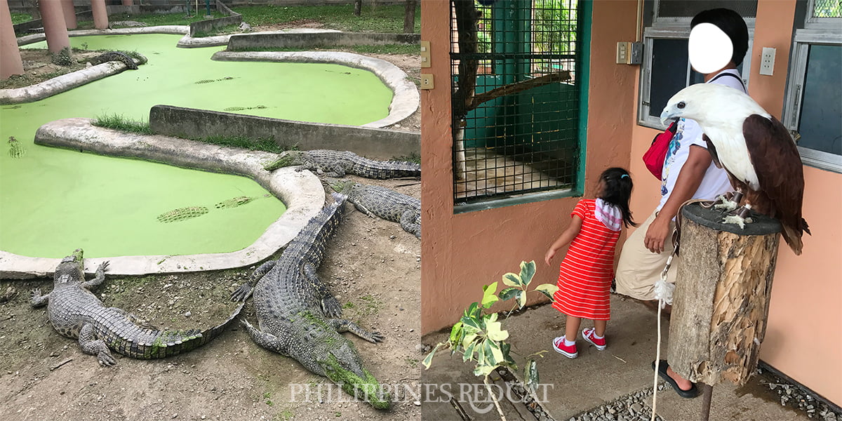 Crocodile-Park-Davao.jpg