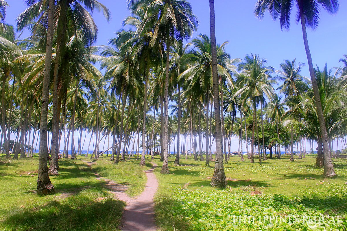 Puerto-Galera-White-Beach-1200.jpg